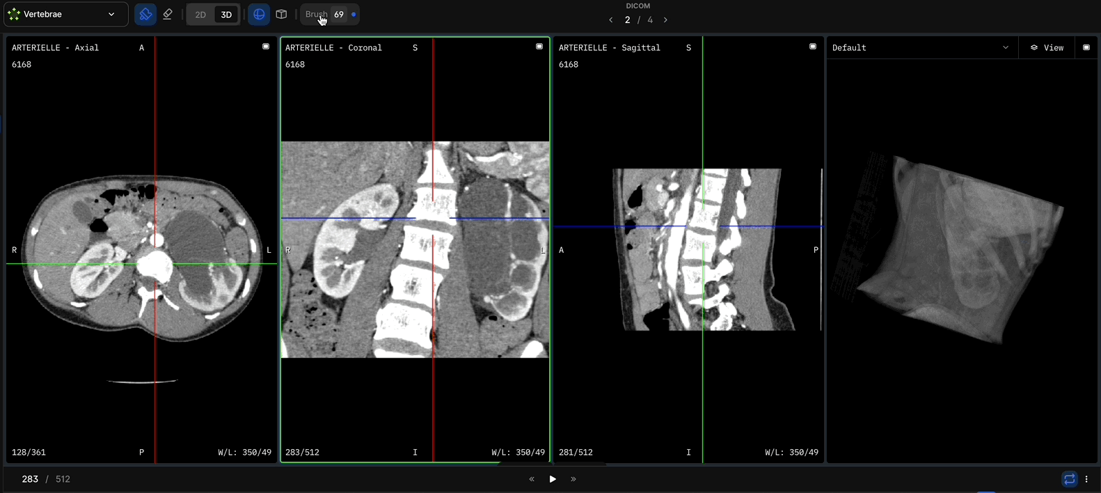 Medical AI Data Example